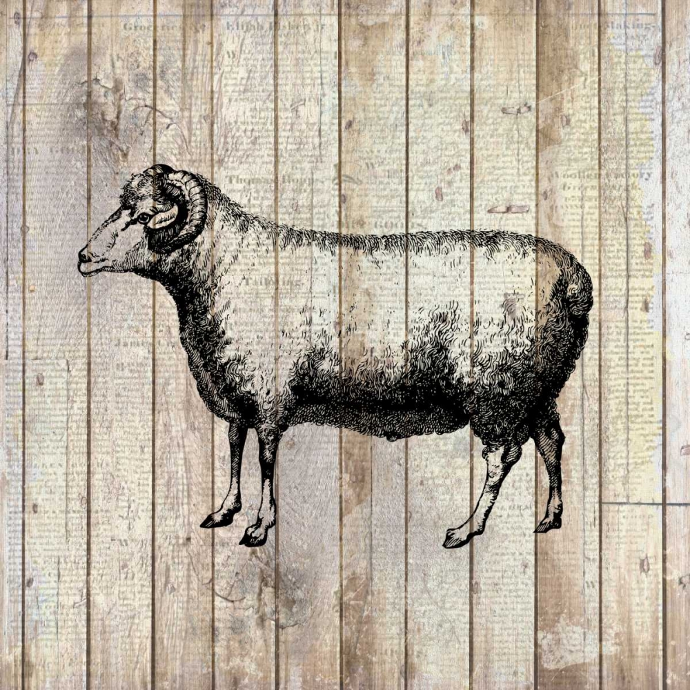 Wall Art Painting id:173549, Name: Farm Life 2, Artist: Allen, Kimberly