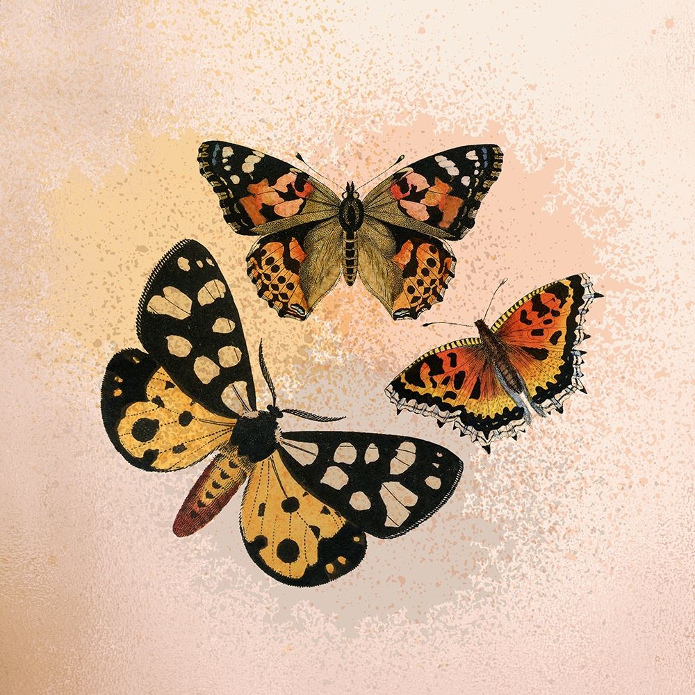 Wall Art Painting id:331427, Name: Butterfly Flight, Artist: Kimberly, Allen