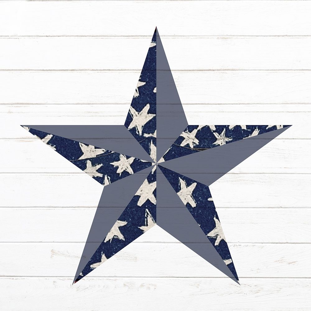 Wall Art Painting id:386101, Name: Primitive Star 1, Artist: Allen, Kimberly