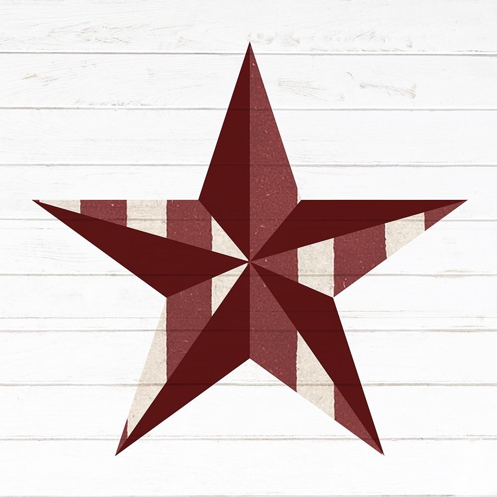 Wall Art Painting id:386102, Name: Primitive Star 2, Artist: Allen, Kimberly