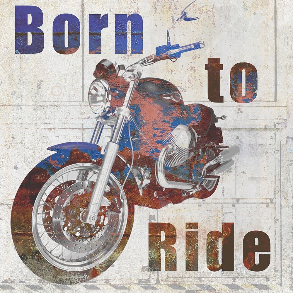 Wall Art Painting id:200381, Name: Born to Ride, Artist: Kimberly, Allen