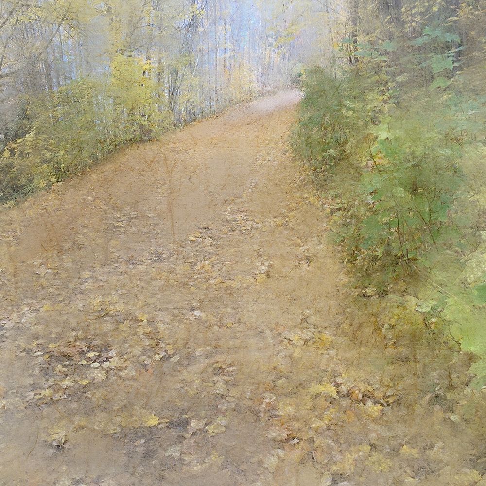 Wall Art Painting id:200523, Name: A Walk in the Park, Artist: Kimberly, Allen