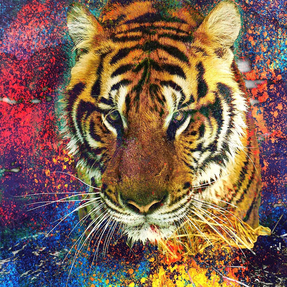 Wall art: Staring, by Allen, Kimberly