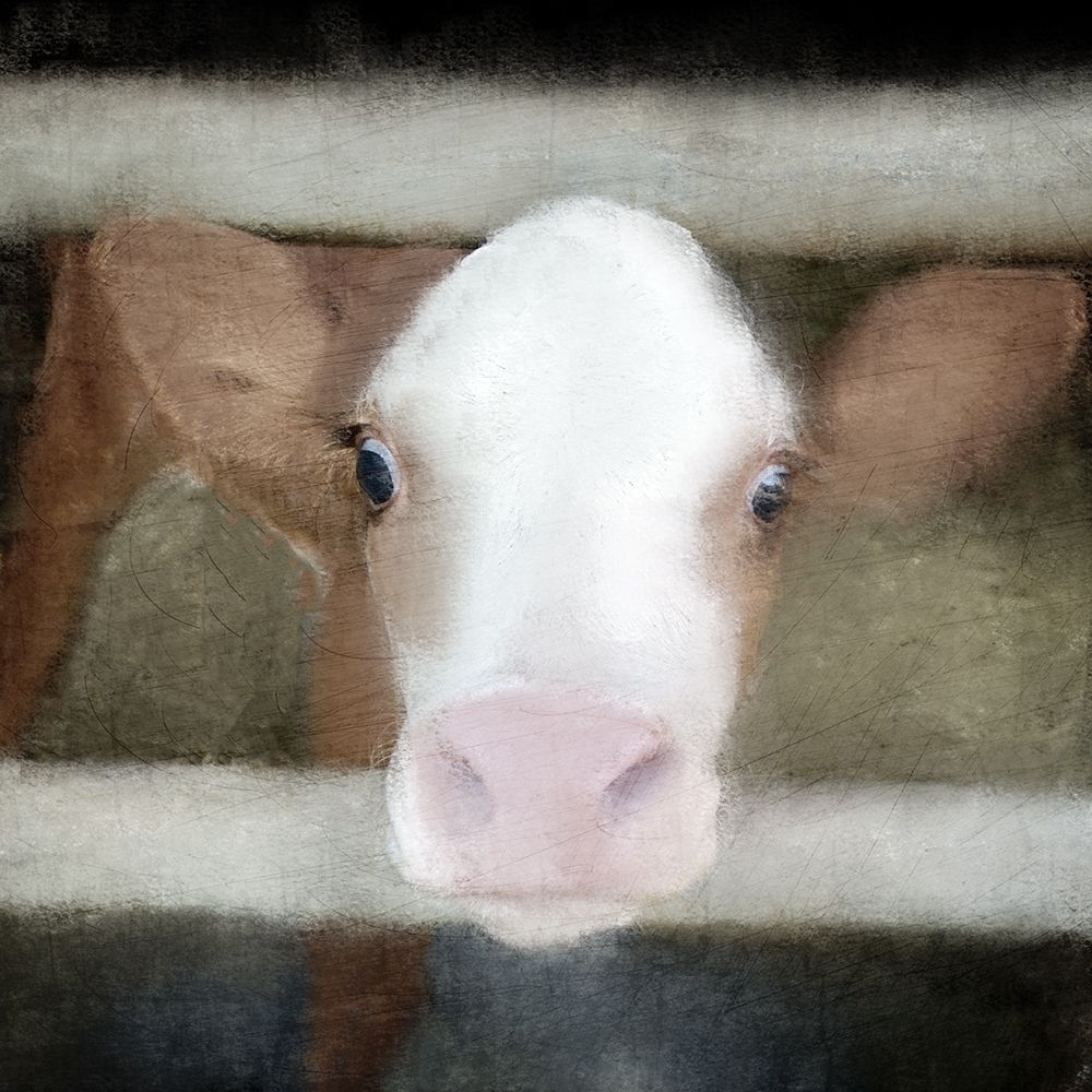 Art Print: Out of the Fence