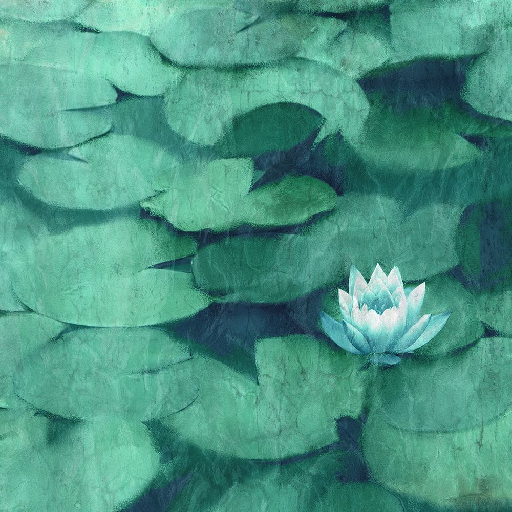 Wall art: Lotus Blossom, by Allen, Kimberly