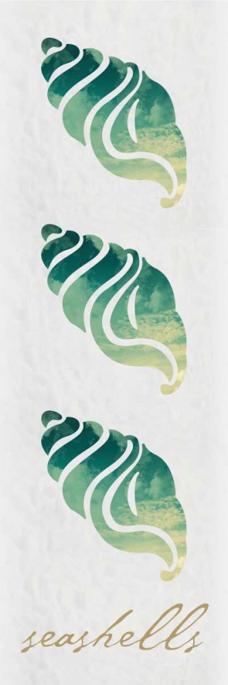 Wall Art Painting id:87037, Name: Seashells Panel, Artist: Hogan, Melody