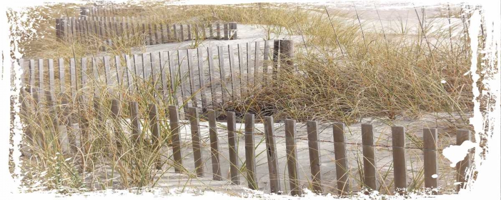 Wall Art Painting id:106756, Name: Coastal Photography 1, Artist: Hogan, Melody