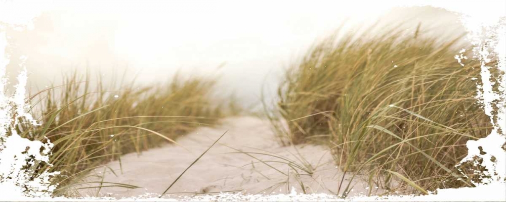 Wall Art Painting id:106757, Name: Coastal Photography 2, Artist: Hogan, Melody