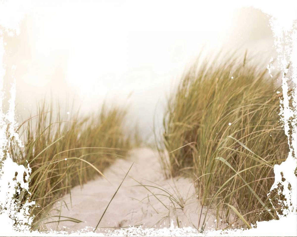 Wall Art Painting id:138795, Name: Coastal Photography 2, Artist: Hogan, Melody