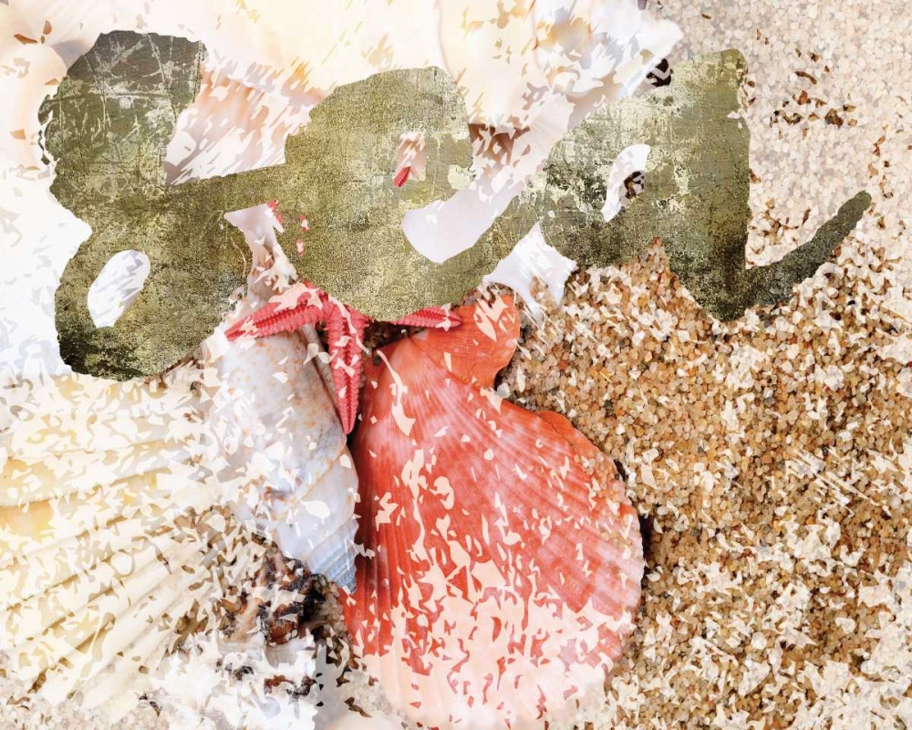 Wall Art Painting id:138802, Name: Coral Scallop, Artist: Hogan, Melody