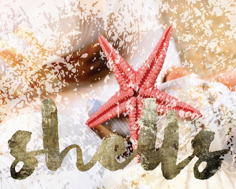 Wall Art Painting id:138803, Name: Coral Starfish, Artist: Hogan, Melody