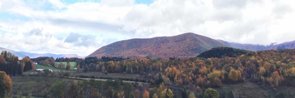 Wall Art Painting id:138909, Name: Seasons Change 1, Artist: Prime, Marcus