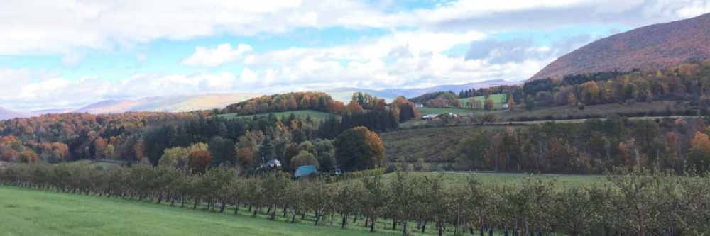 Wall Art Painting id:138910, Name: Seasons Change 2, Artist: Prime, Marcus