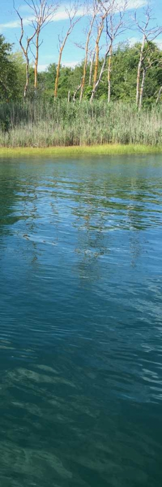 Art Print: Scenic River 1