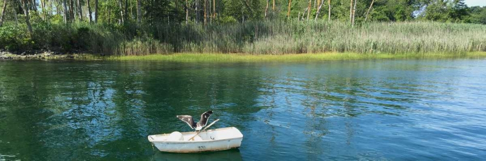 Art Print: Scenic River 3