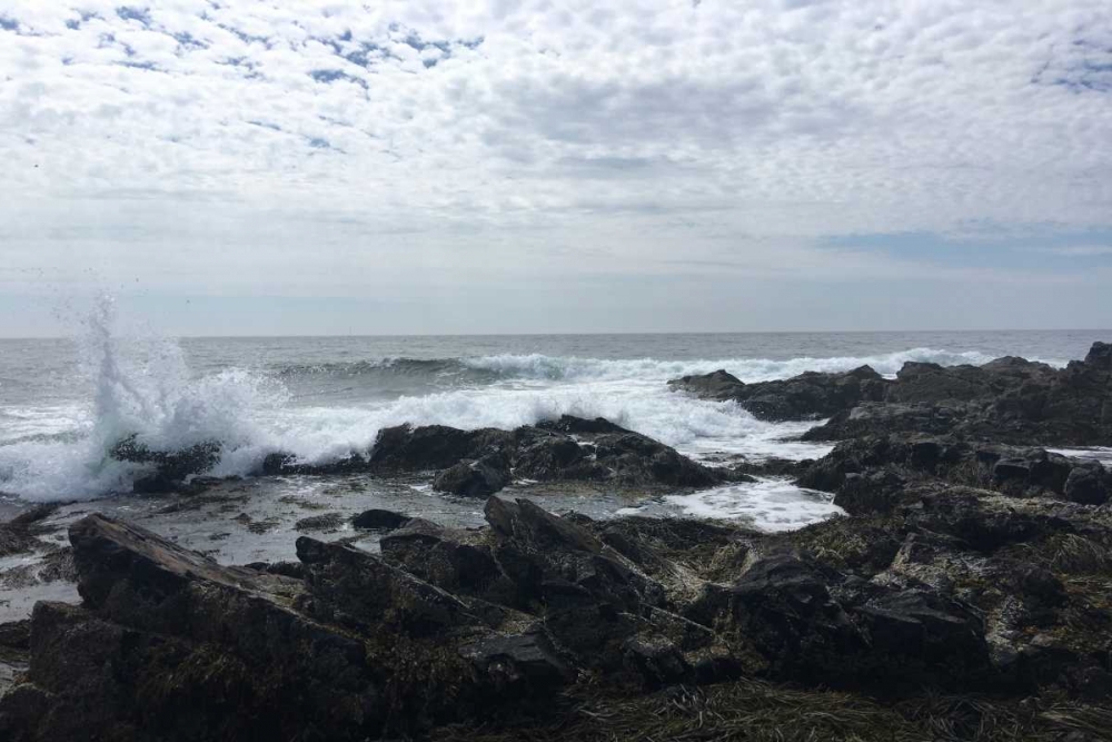 Art Print: Morning Tide