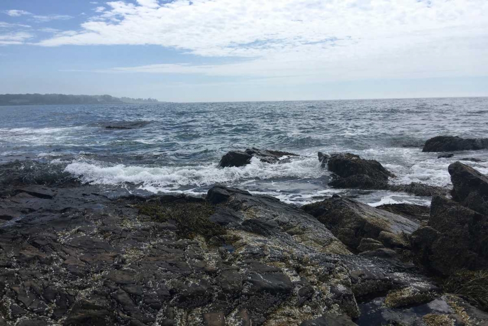 Art Print: Morning Tide 3