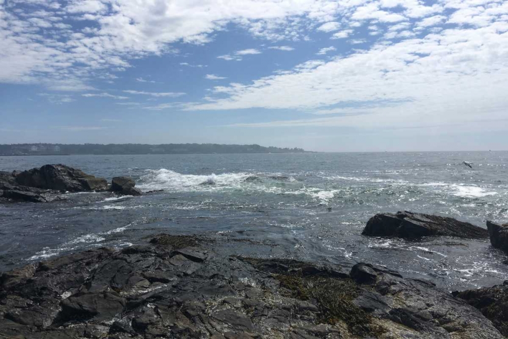 Art Print: Morning Tide 5