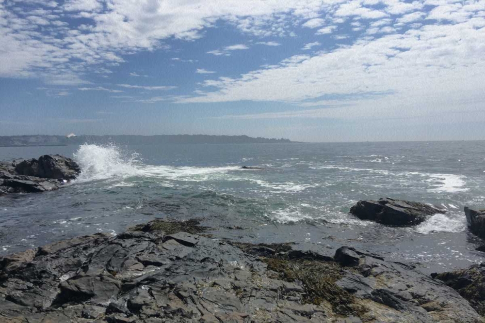 Art Print: Morning Tide 5