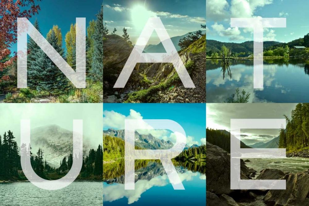 Art Print: Nature Patch