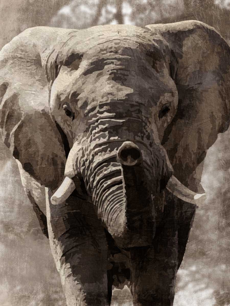 Art Print: Savannah Stroll