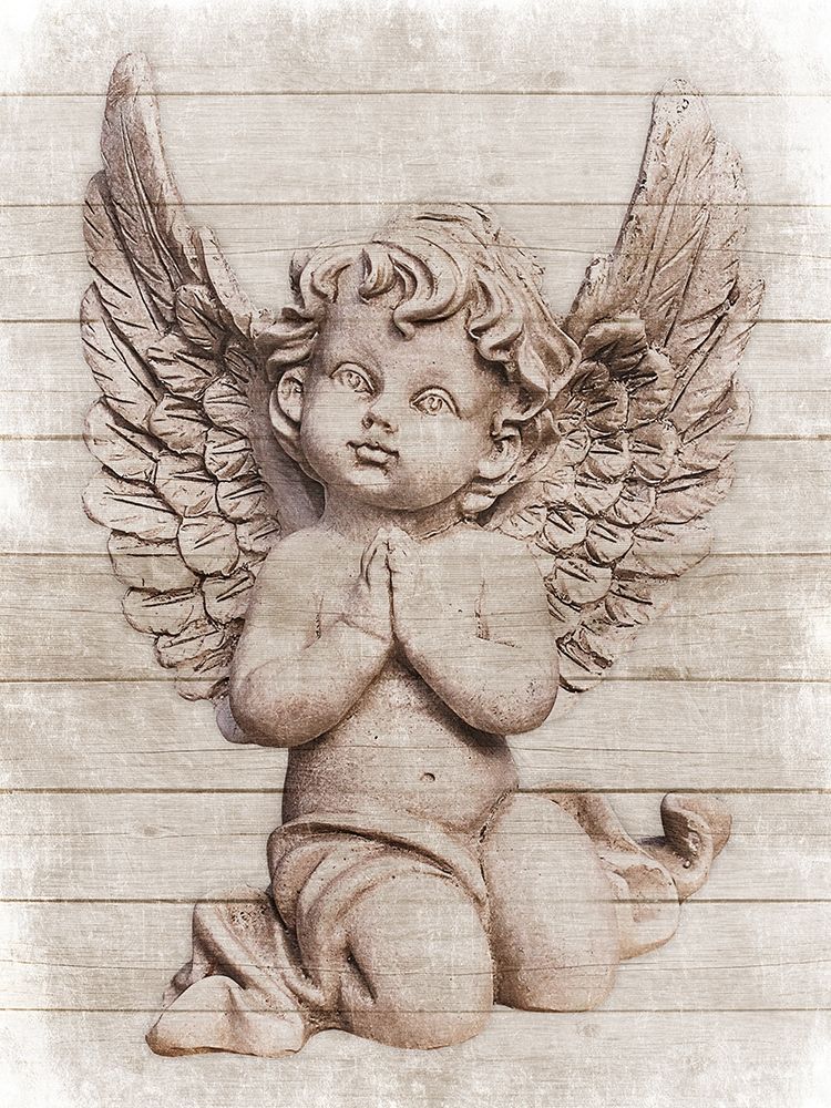 Wall Art Painting id:207969, Name: Angelic Nature, Artist: Prime, Marcus