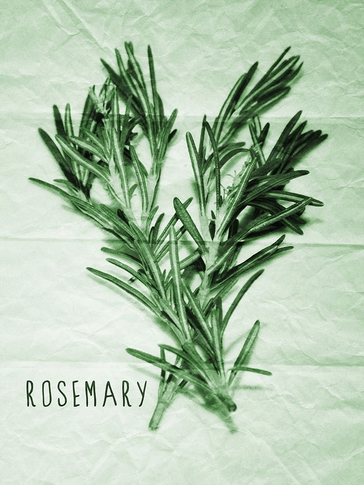 Art Print: Rosemary Paper Scraps