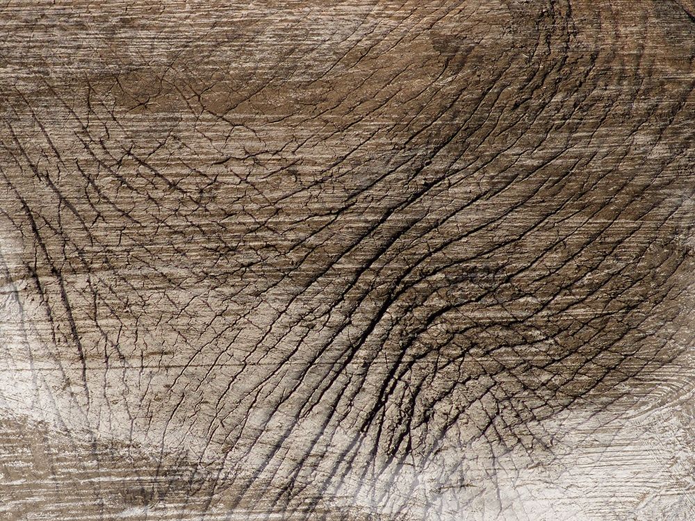 Art Print: Mastadon Tapestry 1