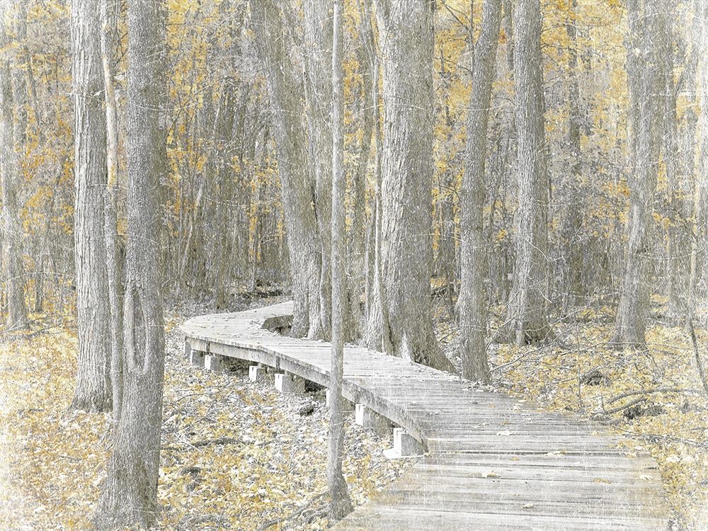 Wall art: Autumn Stroll, by Prime, Marcus