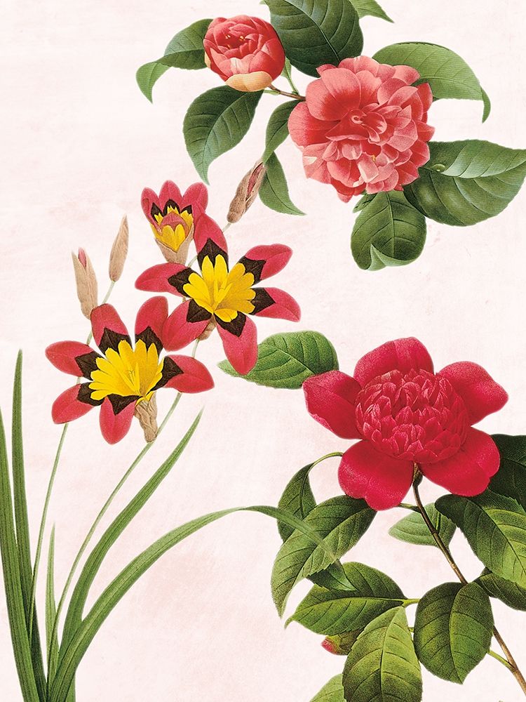 Art Print: Botanical Fusion