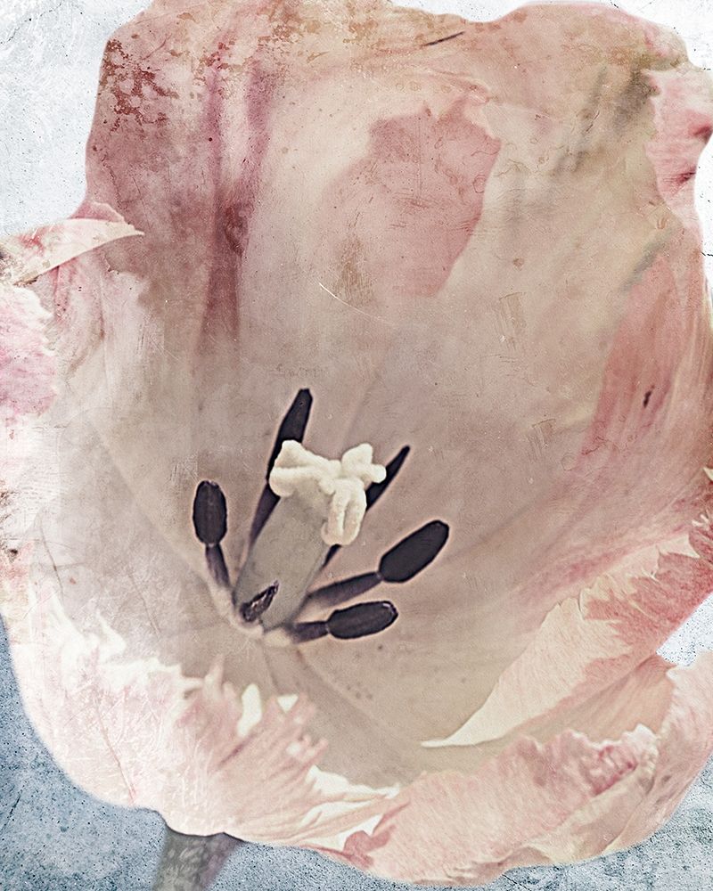 Art Print: Sweet Power 1