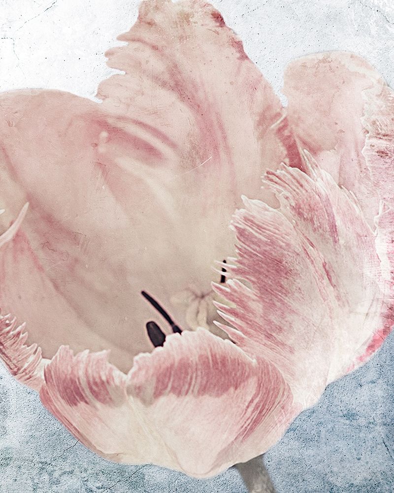 Art Print: Sweet Power 2