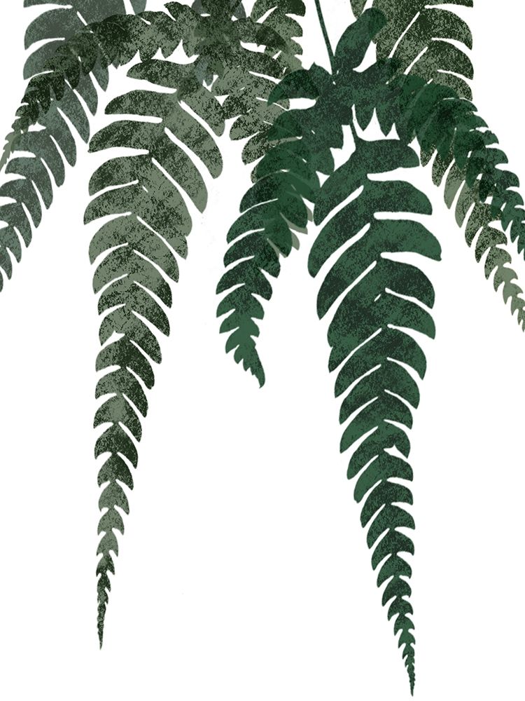 Art Print: Evergreen Bliss 1