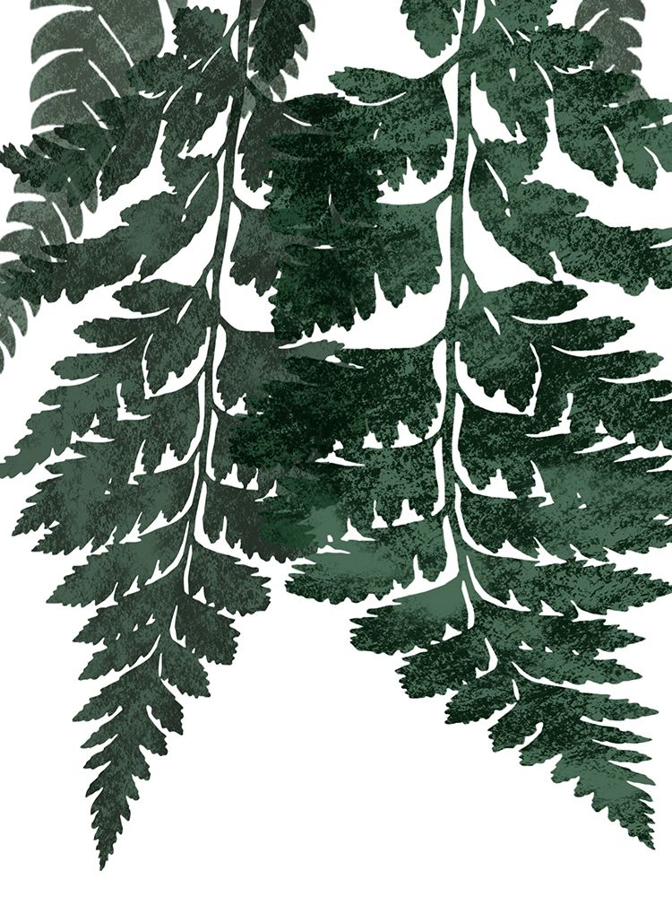 Art Print: Evergreen Bliss 2