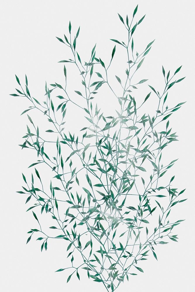 Art Print: Misty Grass