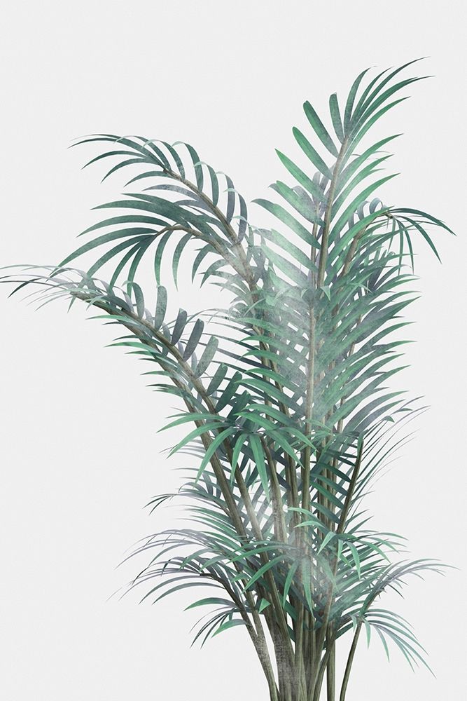 Art Print: Misty Fern