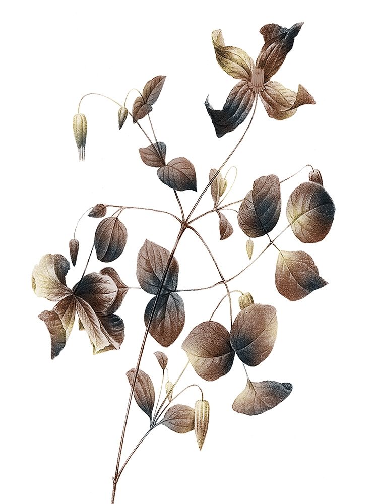 Art Print: Autumn Balance 2