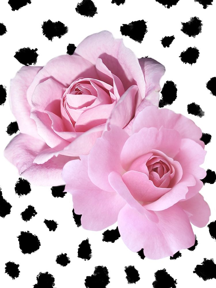 Art Print: Dalmatian Roses