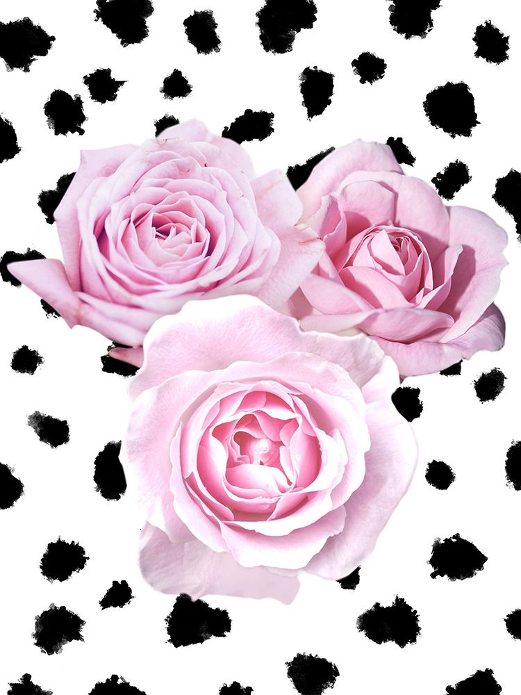 Art Print: Dalmatian Roses 2