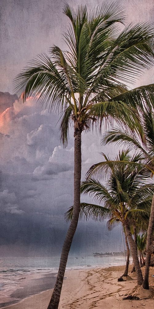 Art Print: Morning Sea Breeze