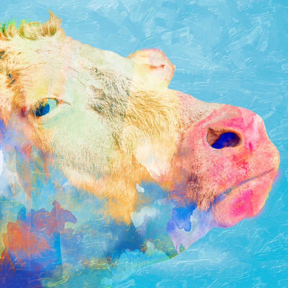 Wall Art Painting id:125915, Name: Summer Time Angus, Artist: Prime, Marcus