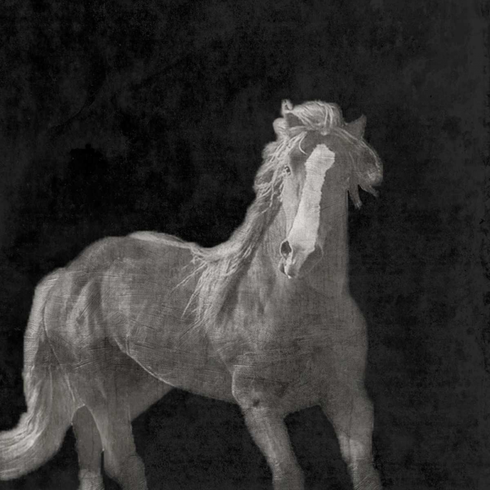 Art Print: Midnight Run