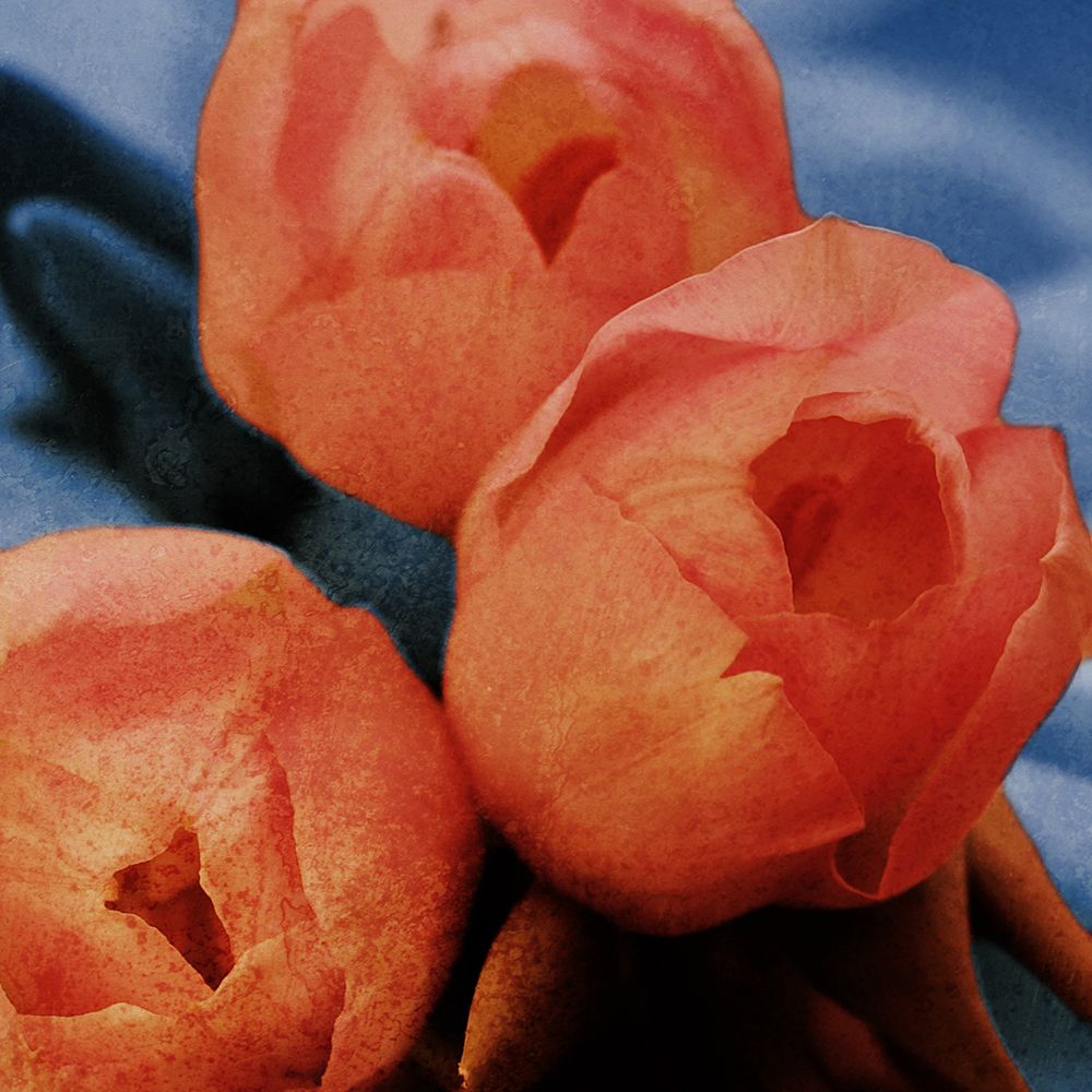 Art Print: Floral Spice V2