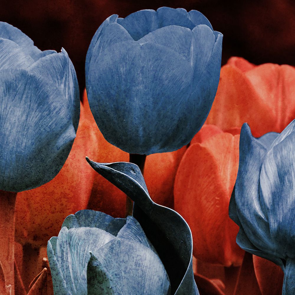 Art Print: Floral Spice 2 V2