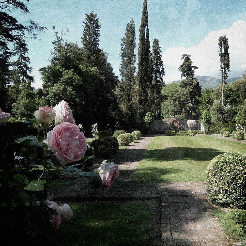 Art Print: Botanical Desires