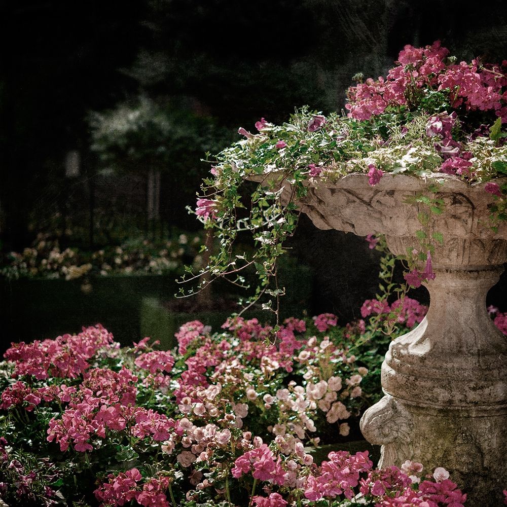 Art Print: Botanical Entry