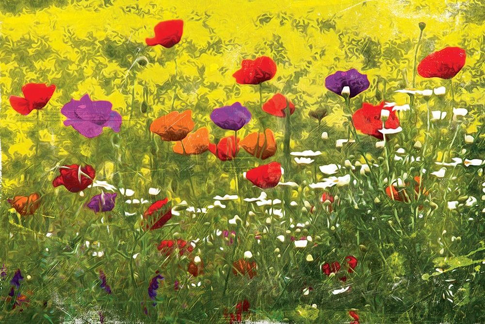Wall Art Painting id:200727, Name: Another Pack Of Poppies, Artist: Villa, Mlli