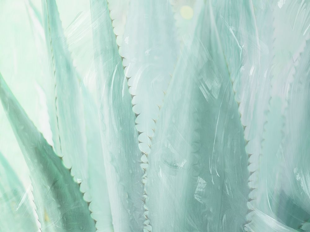 Similar wall art painting: 190863