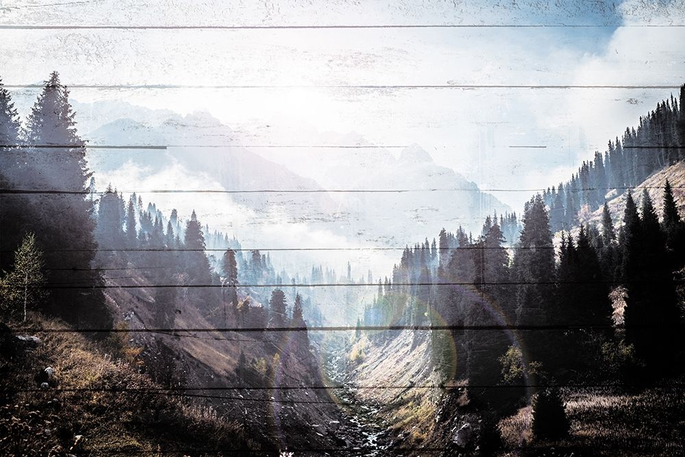 Art Print: Bright Woods