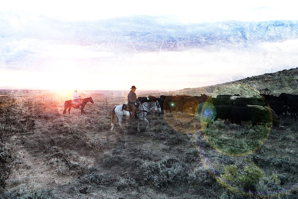 Art Print: Steer The Herd